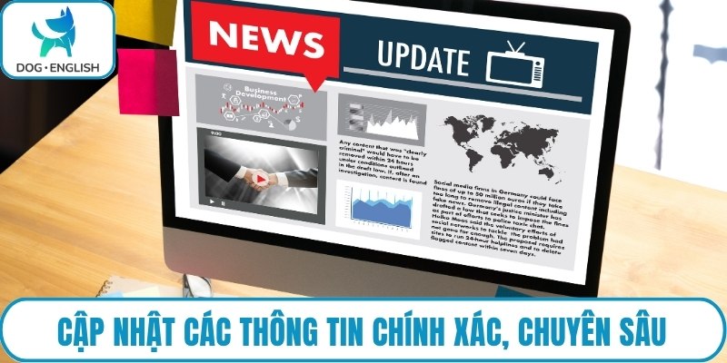 Cập nhật các thông tin chính xác, chuyên sâu