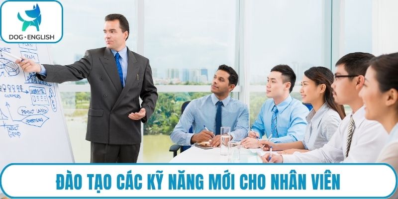 Đào tạo các kỹ năng mới cho nhân viên