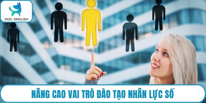 Nâng cao vai trò đào tạo nhân lực số