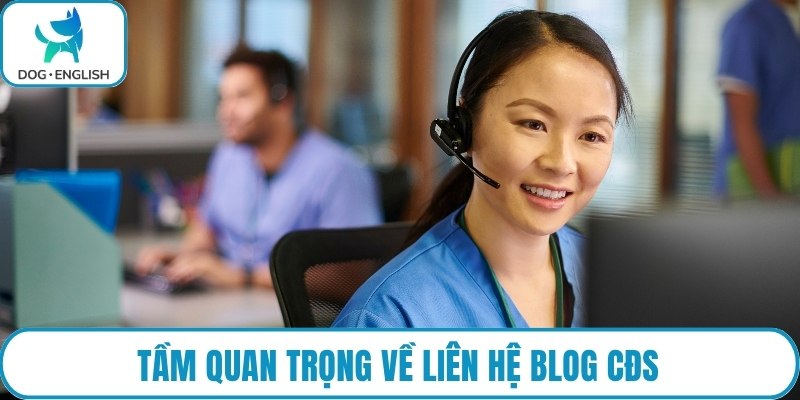 Tầm quan trọng về liên hệ blog CĐS