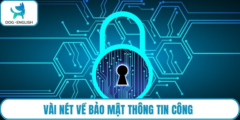 Vài nét về bảo mật thông tin công