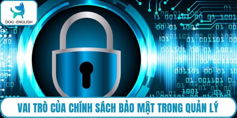 Vai trò của chính sách bảo mật trong quản lý