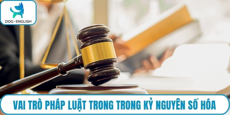 Vai trò pháp luật trong trong kỷ nguyên số hóa