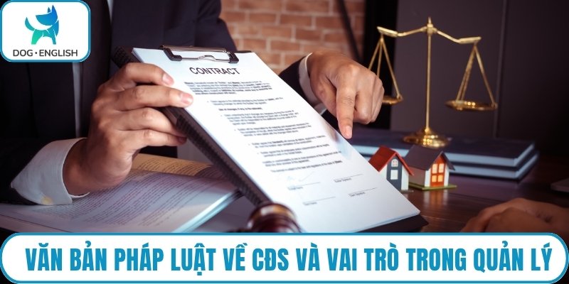 Văn bản pháp luật về CĐS